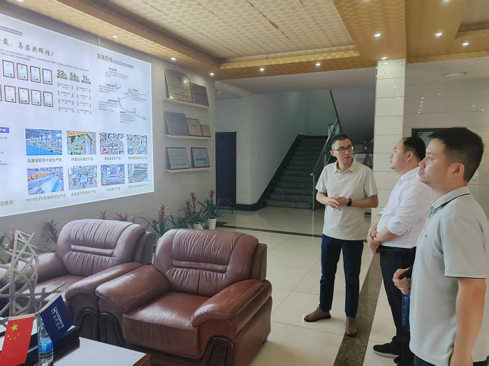 区发改局刘方局长一行领导莅临公司调研指导 1
